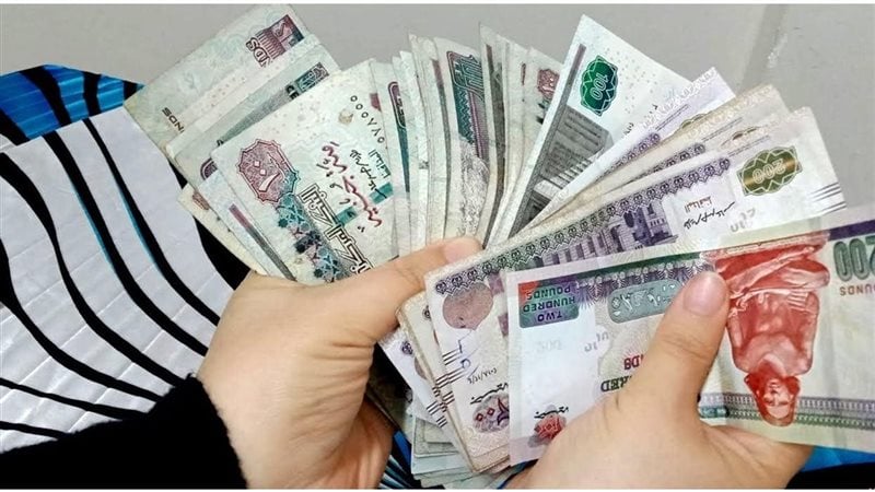 حساب الأهلي اليومي بعائد مميز، استثمر 500 ألف جنيه واحصل على عوائد تصل إلى 22%