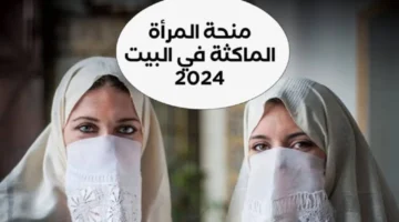 كيفاش تسجلي في منحة المرأة الماكثة؟. دليل التسجيل في منحة المرأة الماكثة 2025 والشروط المطلوبة