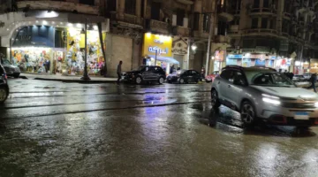 حالة الطقس الجزائر