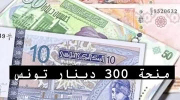 رابط التسجيل في منحة 300 دينار