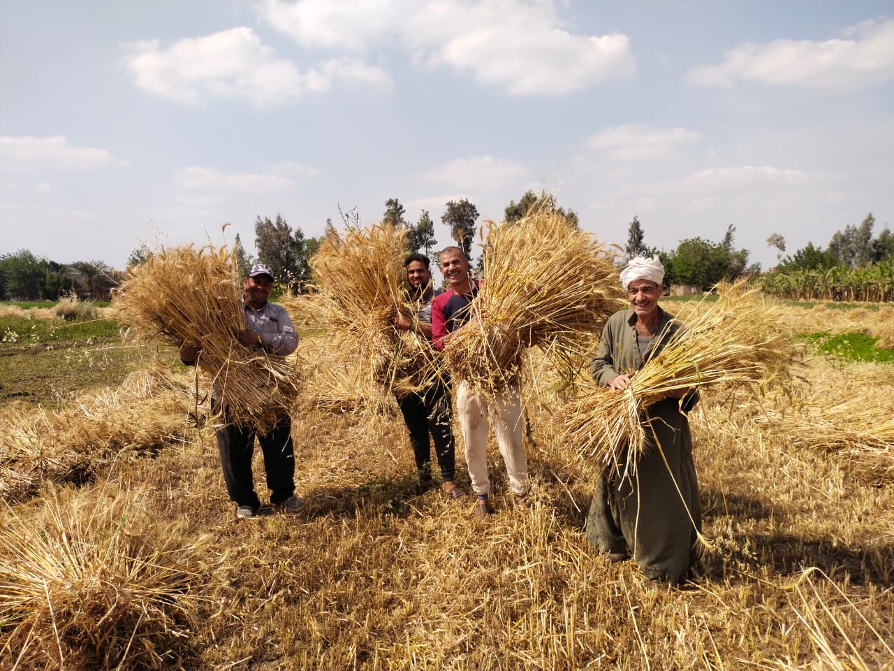فرحة المزارعين فرحة المزارعين