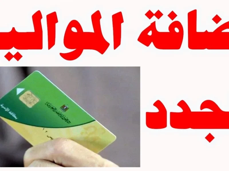 إضافة المواليد الجدد علي البطاقة التموينية 1 3 800x600 1 1.webp