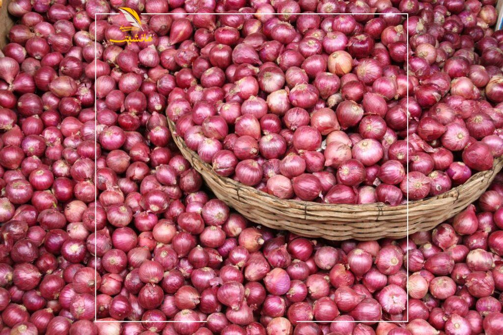 سعر البصل اليوم