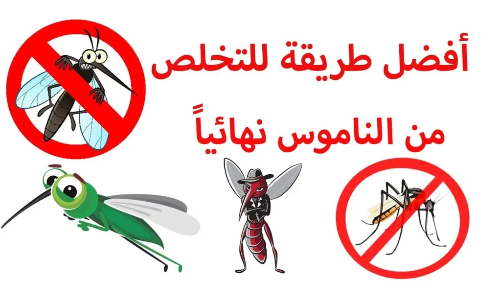 طرق-التخلص-من-الناموس-نهائيا