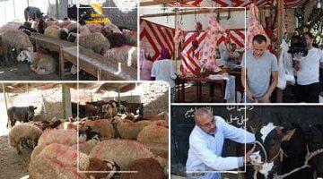 عاجل.. 
                                            أخبار مصر.. غرامات تصل إلى 10 آلاف جنيه عقوبة ذبح الأضاحى فى الشوارع