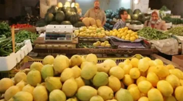 ارتفاع الليمون وأسعار الخضروات والفاكهة اليوم في سوق العبور 23 مايو 2025
