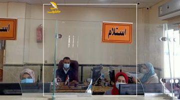 عاجل.. 
                                            كيف تستخرج بدل فاقد لرخصة محل تجاري؟.. اعرف التفاصيل