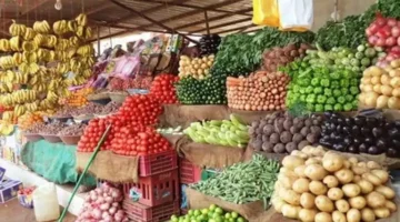 ارتفاع أسعار الخيار.. حركة بيع الخضروات والفاكهة في سوق العبور اليوم
