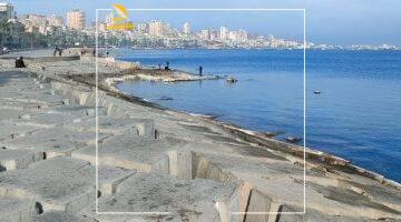 عاجل.. 
                                            شبورة ورياح وأتربة.. حالة الطقس اليوم الخميس 22 مايو 2025 فى مصر
