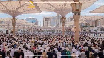 عاجل.. 
                                            “المساعد الذكى”.. نافذة رقمية جديدة تخدم ضيوف الرحمن بالمسجد النبوى