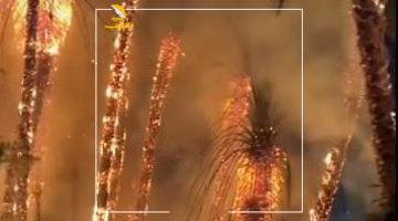 أخبار مصر | 
                                            بعد حريق كورنيش النيل.. اقرأ نصائح الحماية المدنية لتجنب حرائق الأشجار