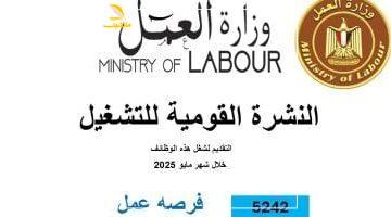عاجل.. 
                                            وزارة العمل: 5242 فرصة عمل جديدة فى 50 شركة خاصة بـ8 محافظات
