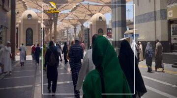 عاجل.. 
                                            رحلة بلا عناء ومناسك بلا زحام.. مصر تمهد لحجاجها درب الطاعة بوسائل الراحة