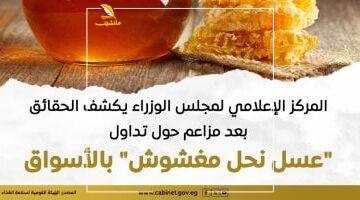 عاجل.. 
                                            مجلس الوزراء يكشف الحقائق بعد مزاعم حول تداول “عسل نحل مغشوش” بالأسواق