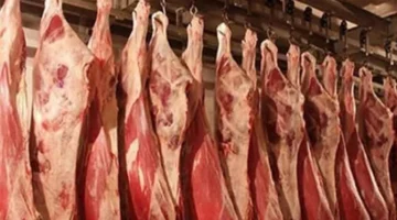 اقتراب عيد الأضحى يرفع أسعار اللحوم الحمراء 10 جنيهات بالأسواق