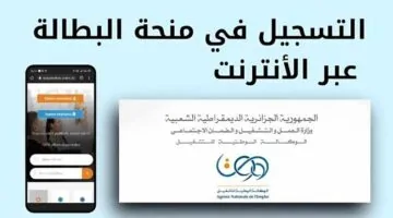 تجديد منحة البطالة في الجزائر 2025 والشروط اللازمة للحصول على المنحة