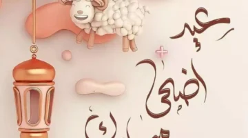 alhorianews.com 1800 025337 1800 025337.webp