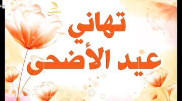 ما تشيلش هم التهاني.. أجمل رسائل وصور عيد الأضحى 2025 جاهزة للمشاركة
