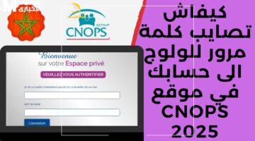 كنوبس تفاجئ المغاربة برابط التسجيل الجديد لموقعها 2025 وشروط مميزة