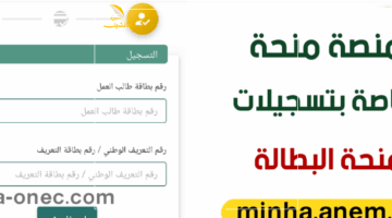 لا تفوت فرصة تجديد منحة البطالة 2025 في الجزائر – خطوات بسيطة وشروط يجب معرفتها