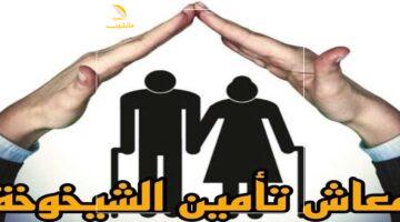 معاش جديد يسعد الجميع مع تحسين شامل لمعاش الشيخوخة المغربي
