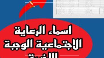 أخيرًا ظهرت الكشوف وكل الناس بتبحث.. اكتشف اسمك في قائمة الرعاية الاجتماعية الجديدة الآن قبل فوات الفرصة