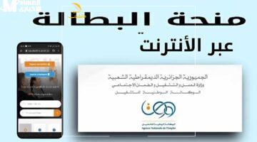 المنحة بحاجة لتجديد سريع – خطوات سهلة لتجديد منحة البطالة الجزائر 2025 2 المنحة بحاجة لتجديد سريع – خطوات سهلة لتجديد منحة البطالة الجزائر 2025