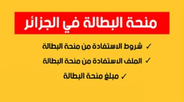 الفلوس وصلت والدعم مستمر.. منحة البطالة في الجزائر 2025 فرصة تنقذك وقت الأزمات وتفتح لك أبواب الرزق