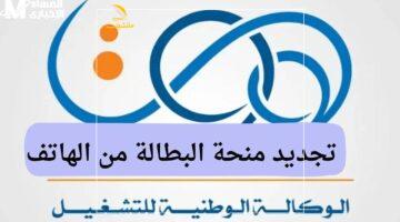 المنحة بحاجة لخطوات بسيطة.. شروط تجديد منحة البطالة في الجزائر 2025