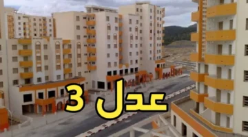 عدل 3 5.webp