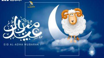 العيد مُرتقب في ثلاث دول.. موعد عيد الأضحى 2025 في مصر والسعودية والإمارات