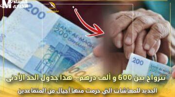معاشك رجع ومعه هدية جديدة.. معاش الشيخوخة بين 600 و1000 درهم رسميًا مع صرف رجعي