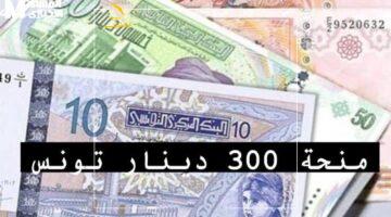 منحة تونس تفاجئ الجميع – تفاصيل منحة 300 دينار في تونس والشروط وطريقة التسجيل بسهولة