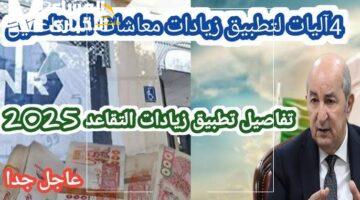 الزيادات تصل بترتيب جديد في 2025.. تعديل شامل لسلم معاشات الجزائر ودعم ملحوظ