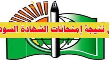 الشهادة تعيد الفرحة للبيوت.. ظهور نتيجة الثانوية السودانية 2025 فورًا