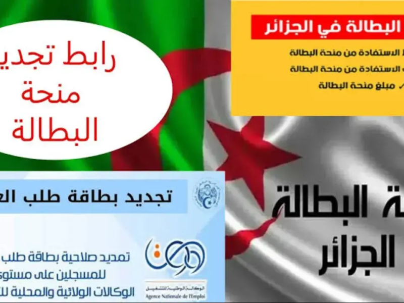 التسجيل في منحة البطالة الجزائر 1 1 800x600 1.webp