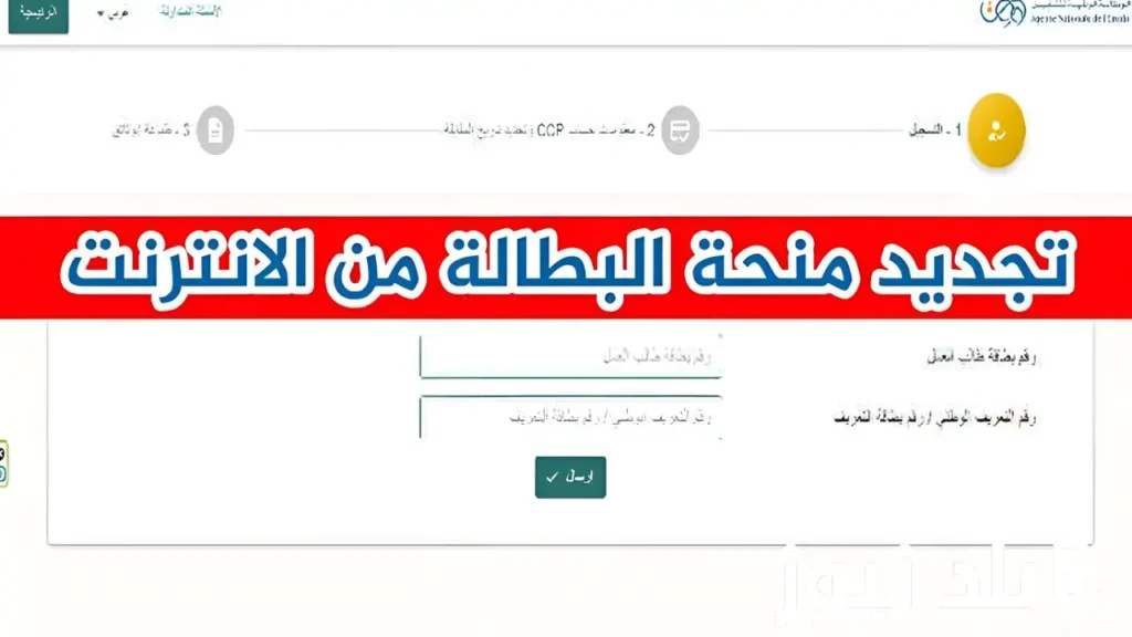 تجديد منحة البطالة 1.webp