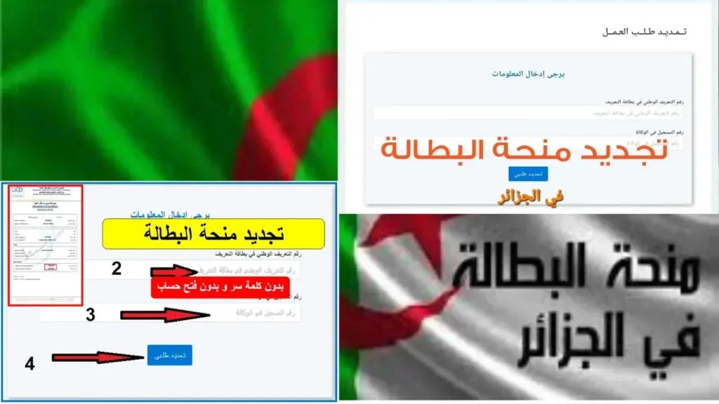 تجديد منحة البطالة.webp