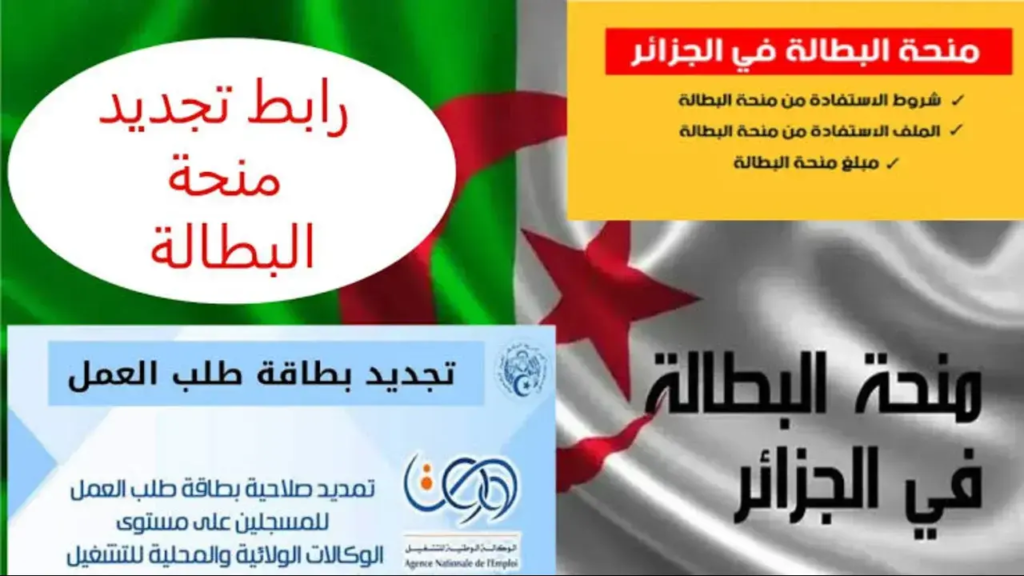 شروط تجديد منحة البطالة الجزائر 2024.webp