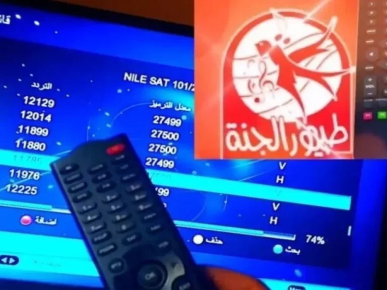 قناة طيور الجنة 1.jpg 1 800x600 1 768x576 2.webp