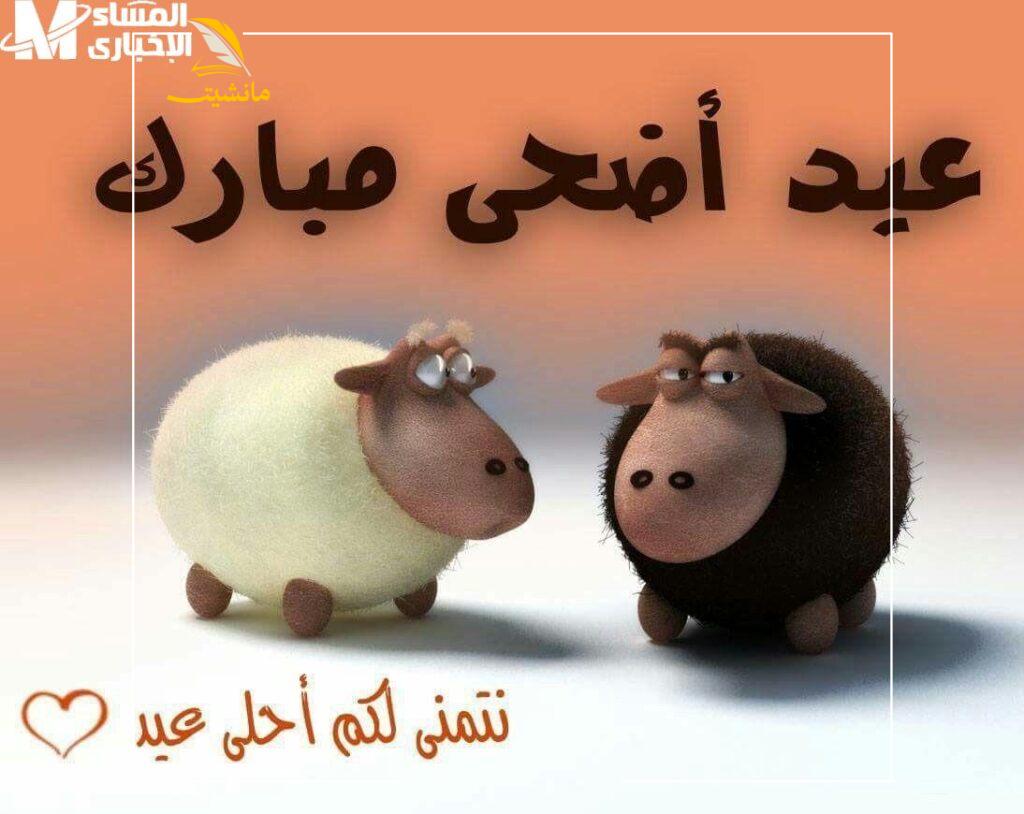 كم باقي على عيد الأضحى 2025 في سوريا واليمن 2