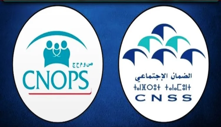 كنوبس 2 2.webp