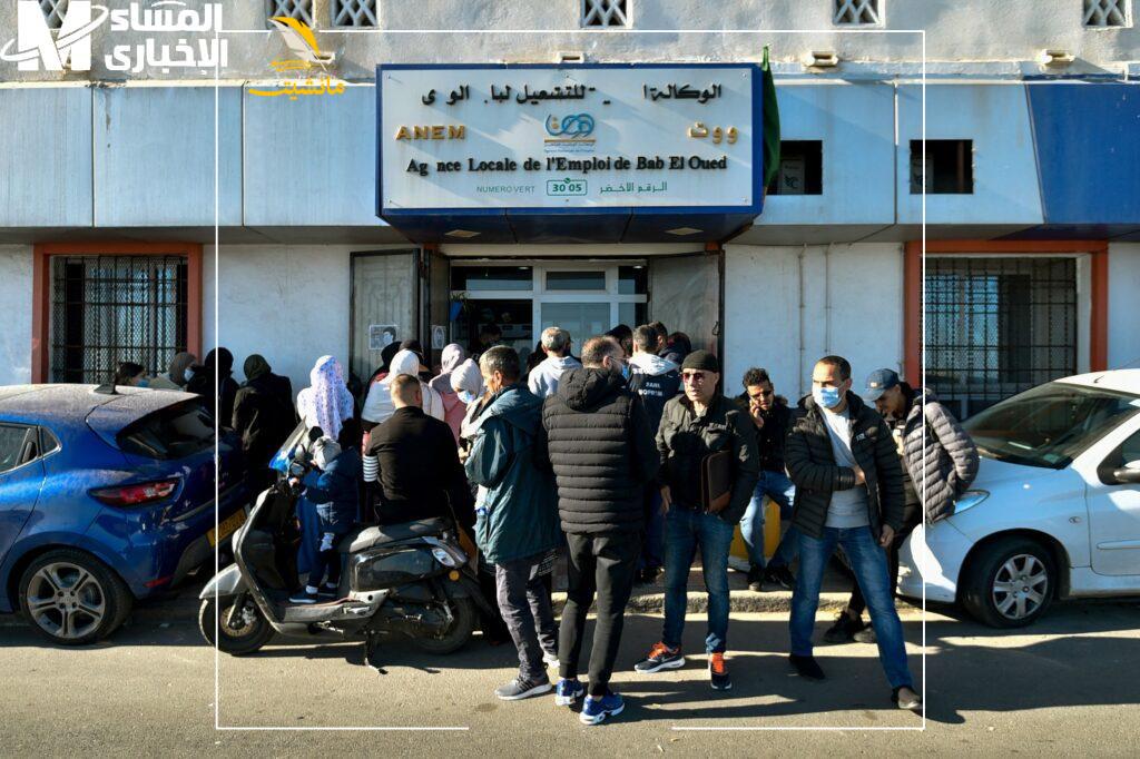 منحة البطالة الجزائرية
