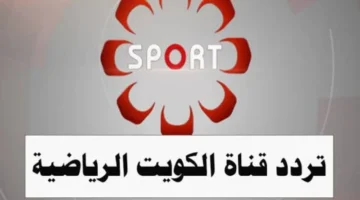 1001735196083 800x600 1.webp
