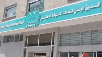 الحل وصل.. كنوبس يفتح أبواب التأمين الصحي بالمغرب 2025 بسهولة وخدمة مميزة