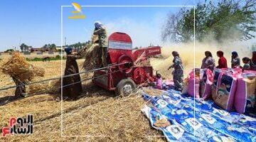 رغيفك مضمون.. التموين يطمئن المصريين بأن مخزون القمح آمن ويكفي لأكثر من 6 أشهر ونصف