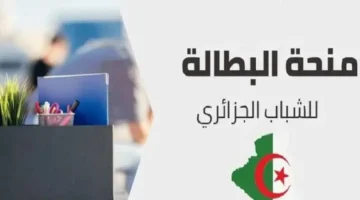 بطالة بفلوس.. كل تفاصيل منحة البطالة الجزائرية 2025 وكيفية التسجيل عبر anem.dz