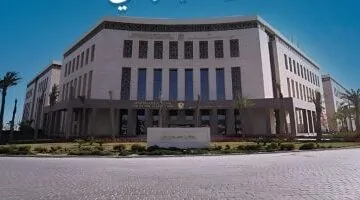 خلص القلق.. الآن نتائج امتحانات المصريين بالخارج 2025 متاحة عبر موقع الوزارة الرسمي