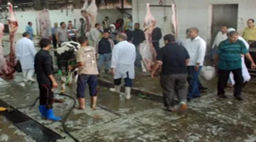مفاجأة بالأرقام.. الزراعة: 34 ألف أضحية استقبلتها المجازر الحكومية في عيد الأضحى