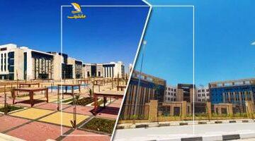 بلاش قلق التنسيق.. كل ما تريد معرفته عن 32 جامعة أهلية معتمدة في مصر لعام 2025